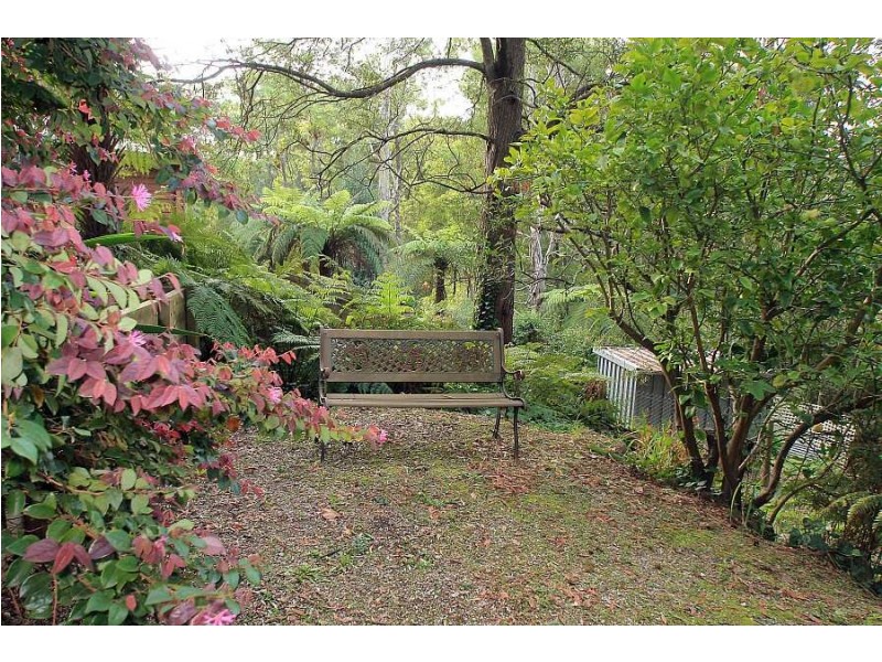 94 Moores Rd, Monbulk VIC 3793