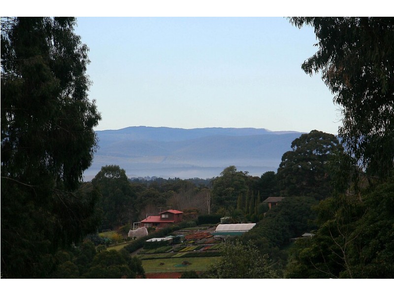 8 Halcyon Ave, The Patch VIC 3792