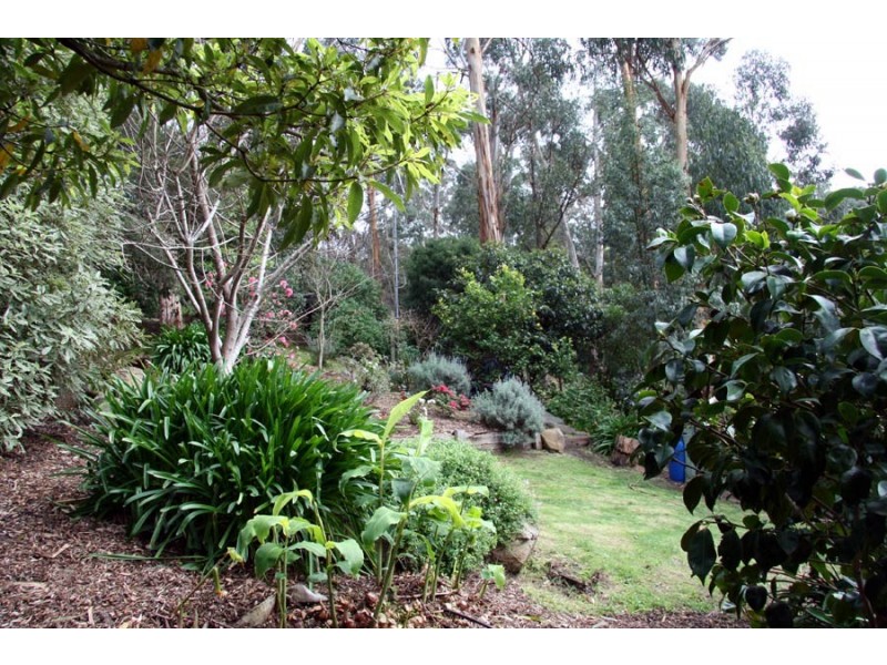 5 Durang Rd, Upwey VIC 3158