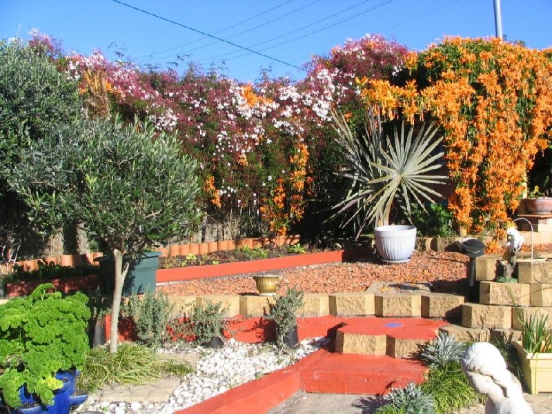 Arcadia Vale NSW 2283