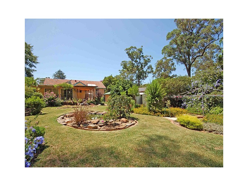 11 Naranghi Avenue, Telopea NSW 2117