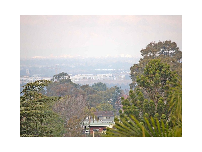 12 Farnell Street, West Ryde NSW 2114