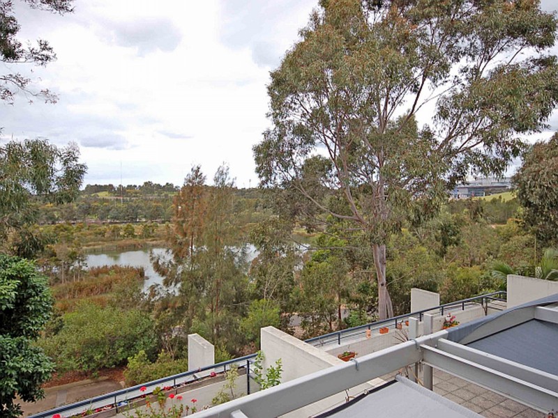 3/9 nurmi avenue, Newington NSW 2127