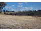 3848 Murringo Road, Young NSW 2594