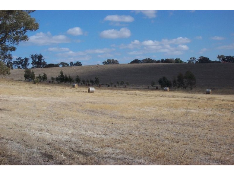3848 Murringo Road, Young NSW 2594