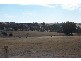 3848 Murringo Road, Young NSW 2594