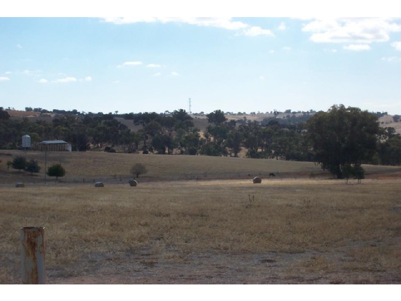3848 Murringo Road, Young NSW 2594