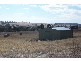 3848 Murringo Road, Young NSW 2594