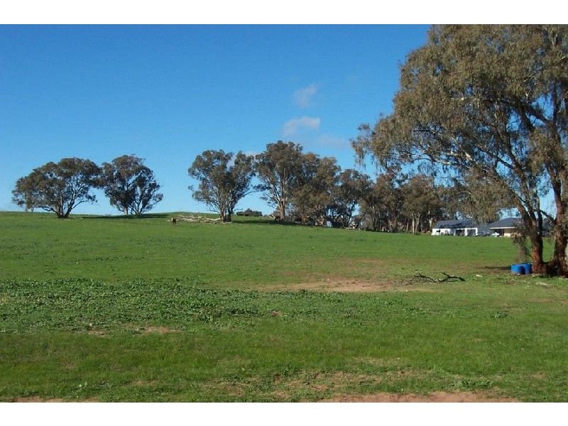 Port 267 Thuuddungra Road, Young NSW 2594