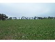 Lot 15  Sads Lane, Monteagle NSW 2594