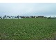 Lot 15  Sads Lane, Monteagle NSW 2594
