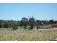 63 Templemore Street, Young NSW 2594