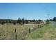 63 Templemore Street, Young NSW 2594