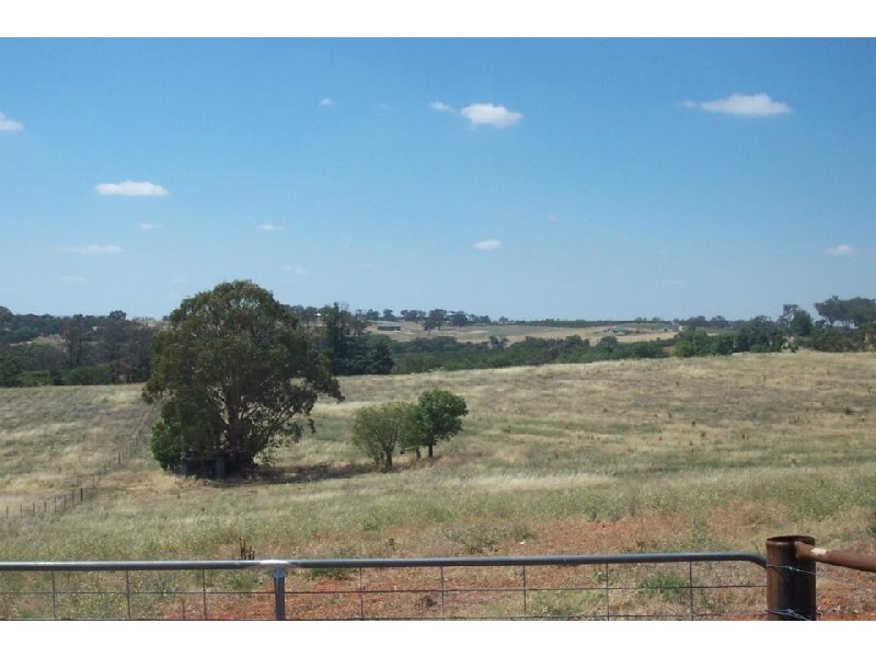 74 Old Monteagle Road, Young NSW 2594