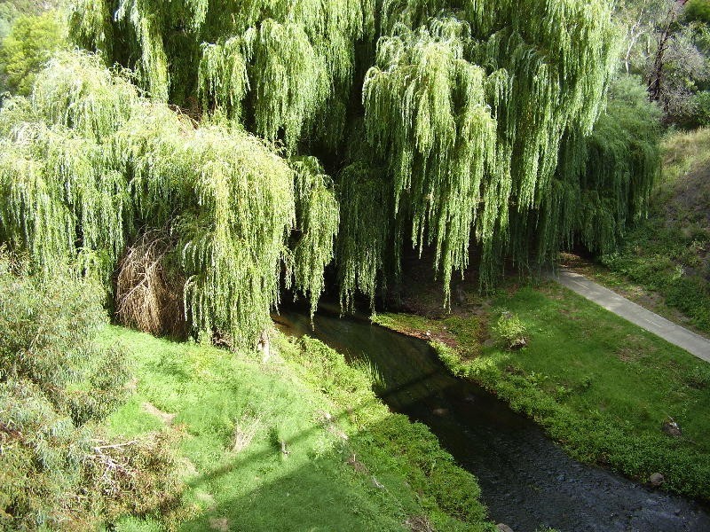 Fitzroy North VIC 3068