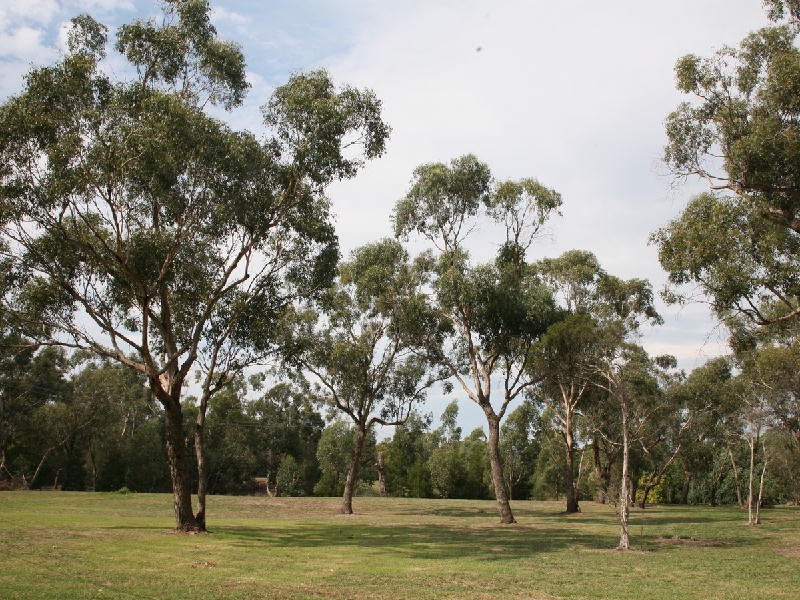 Croydon North VIC 3136