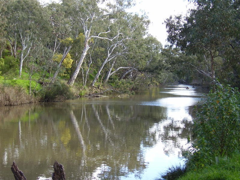 4/14 Yarraford Avenue, Alphington VIC 3078