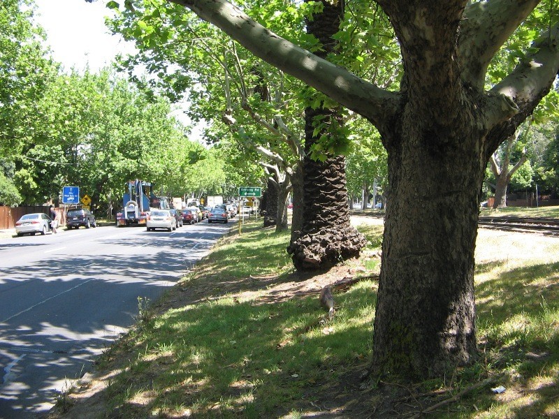 378 Dandenong Road, Caulfield North VIC 3161