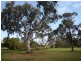 Parkville VIC 3052