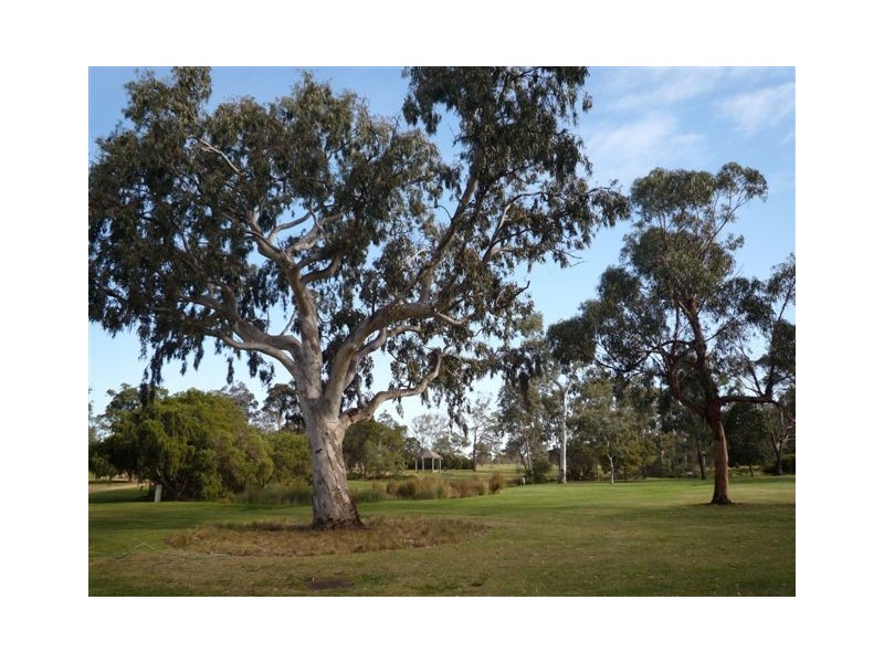 Parkville VIC 3052