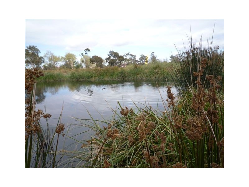 Parkville VIC 3052
