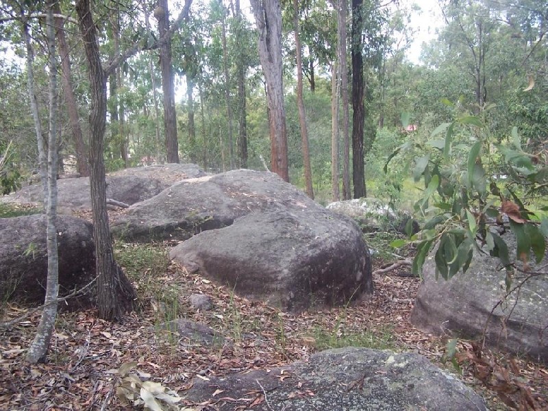 97 Silvereye cr, Greenbank QLD 4124