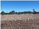 South Maclean QLD 4280