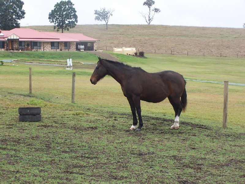 52 Sirato cl, Cedar Vale QLD 4285