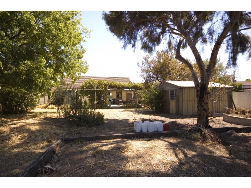 52 Stuart Road, South Plympton SA 5038