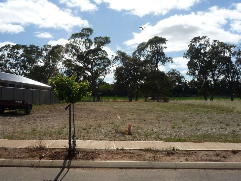 56 Hampden Way, Strathalbyn SA 5255