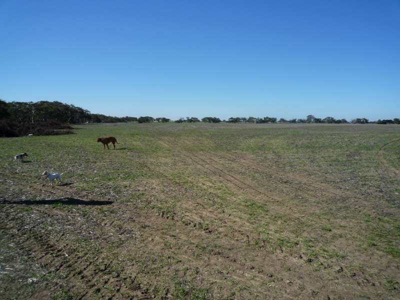 500 Finniss-Clayton Road, Finniss SA 5255