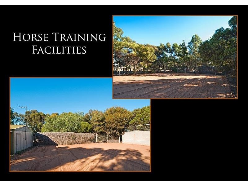 Lot 7 Roper Road SOLD, Willyaroo SA 5255