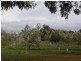 Lot 100 Angas Plains Rd SOLD, Belvidere SA 5255