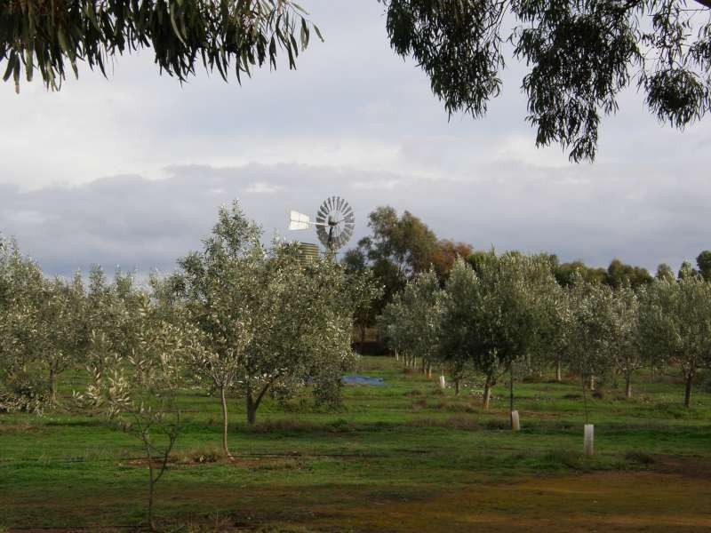 Lot 100 Angas Plains Rd SOLD, Belvidere SA 5255