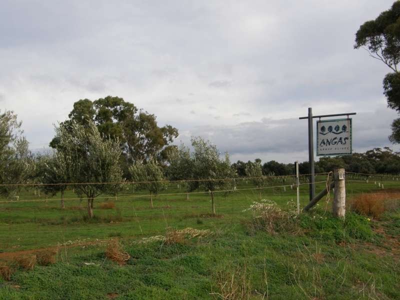 Lot 100 Angas Plains Rd SOLD, Belvidere SA 5255