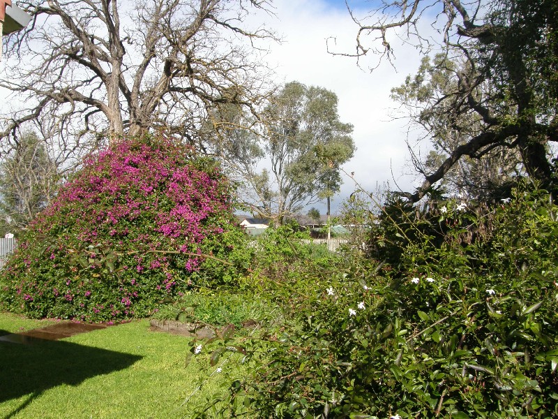 3 Parker Ave SOLD, Strathalbyn SA 5255