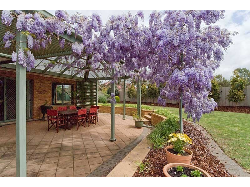 12 Sissons Road SOLD, Strathalbyn SA 5255