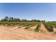 13 Langhorne St, Langhorne Creek SA 5255