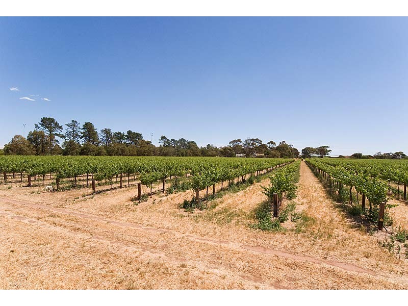 13 Langhorne St, Langhorne Creek SA 5255