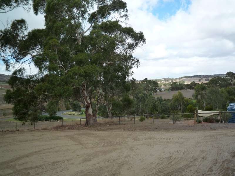 163 Burnbank Way, Mount Barker SA 5251