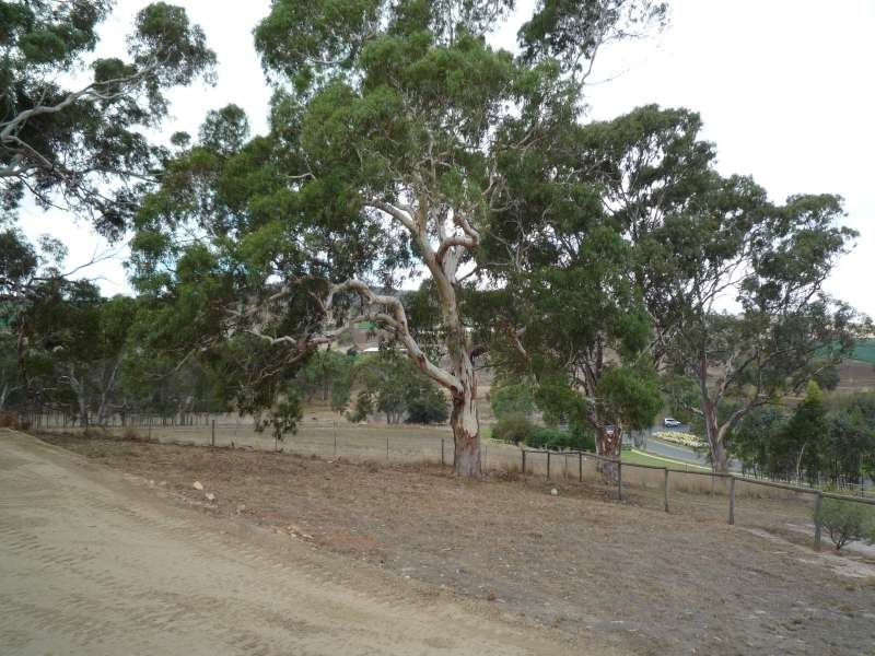 163 Burnbank Way, Mount Barker SA 5251