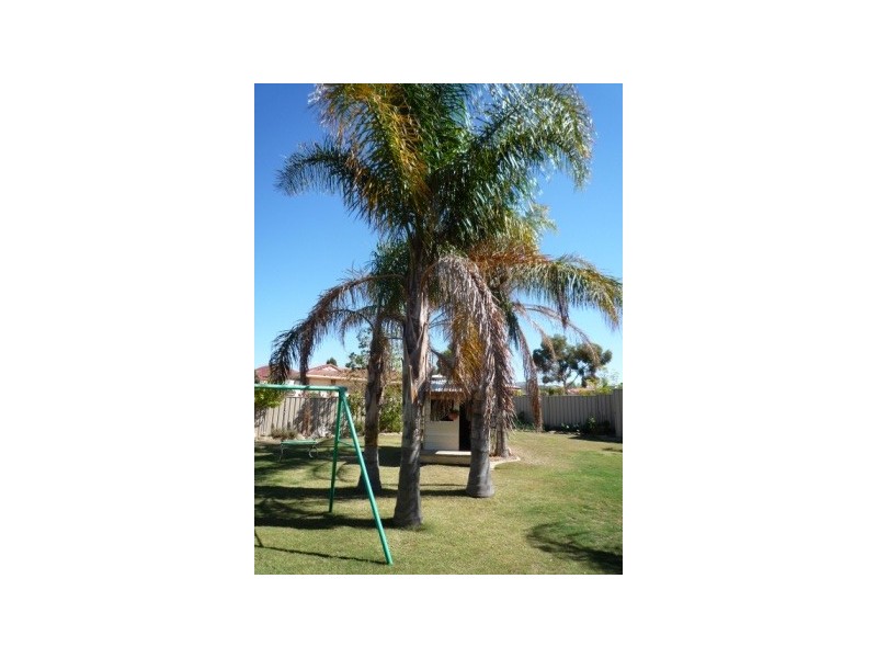 5 Formby Street SOLD SOLD SOLD, Strathalbyn SA 5255