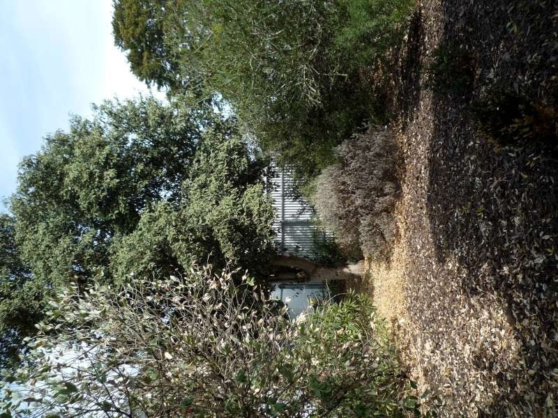 3 High Street, Strathalbyn SA 5255