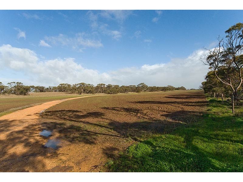 12 Echo Park Road, Milang SA 5256