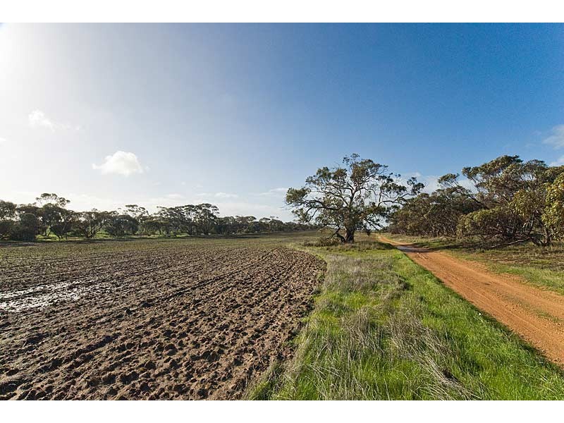 12 Echo Park Road, Milang SA 5256