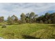Lot 12 Lines Road, Willyaroo SA 5255