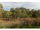 Lot 12 Lines Road, Willyaroo SA 5255