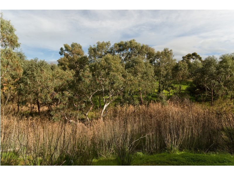 Lot 12 Lines Road, Willyaroo SA 5255
