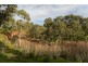 Lot 12 Lines Road, Willyaroo SA 5255