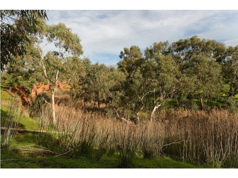 Lot 12 Lines Road, Willyaroo SA 5255